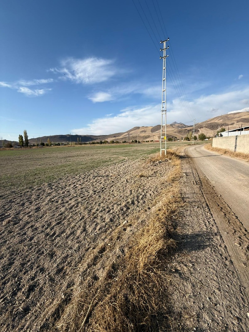 KAYSERİ DEVELİ SOYSALLI MAHALLESİ KUYUCAK MEVKİİNDE SATILIK TARLA